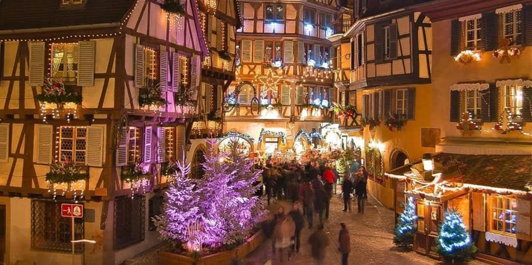 Maison De Vacances Avec Piscine, Proche Strasbourg Et Europa Park Sand Exterior photo